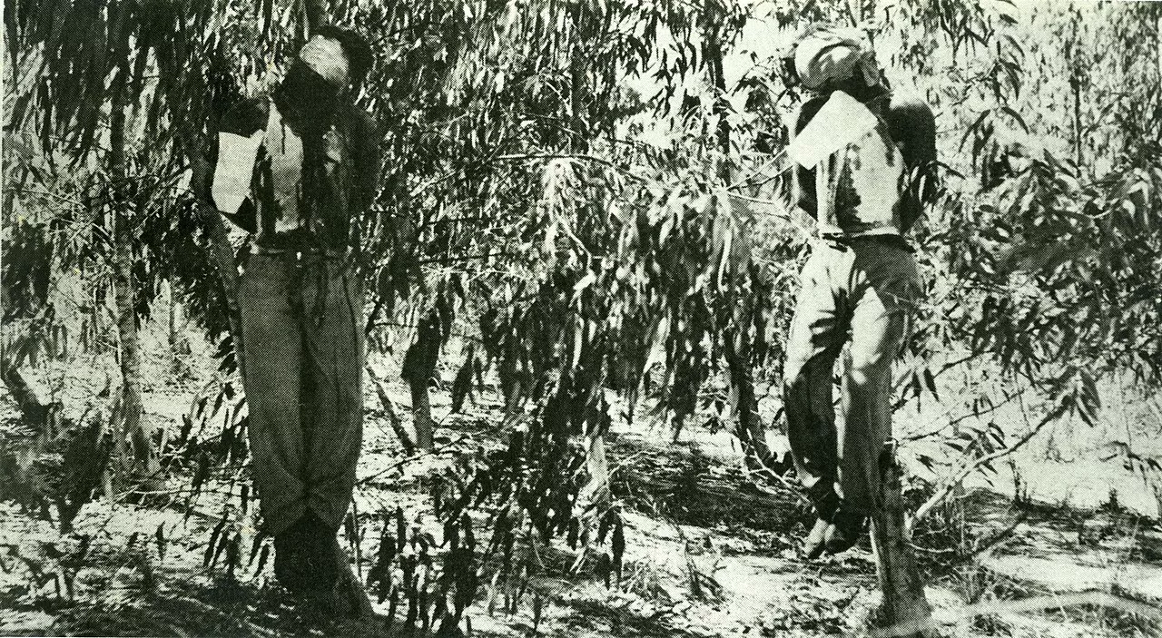 Five times pre-state Israel took British hostages to torture and hang